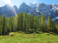 Picture of Alpine Adventures in Slovenia