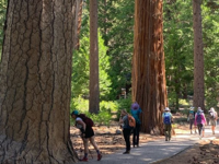 Picture of Lake Tahoe Wellness on the Water