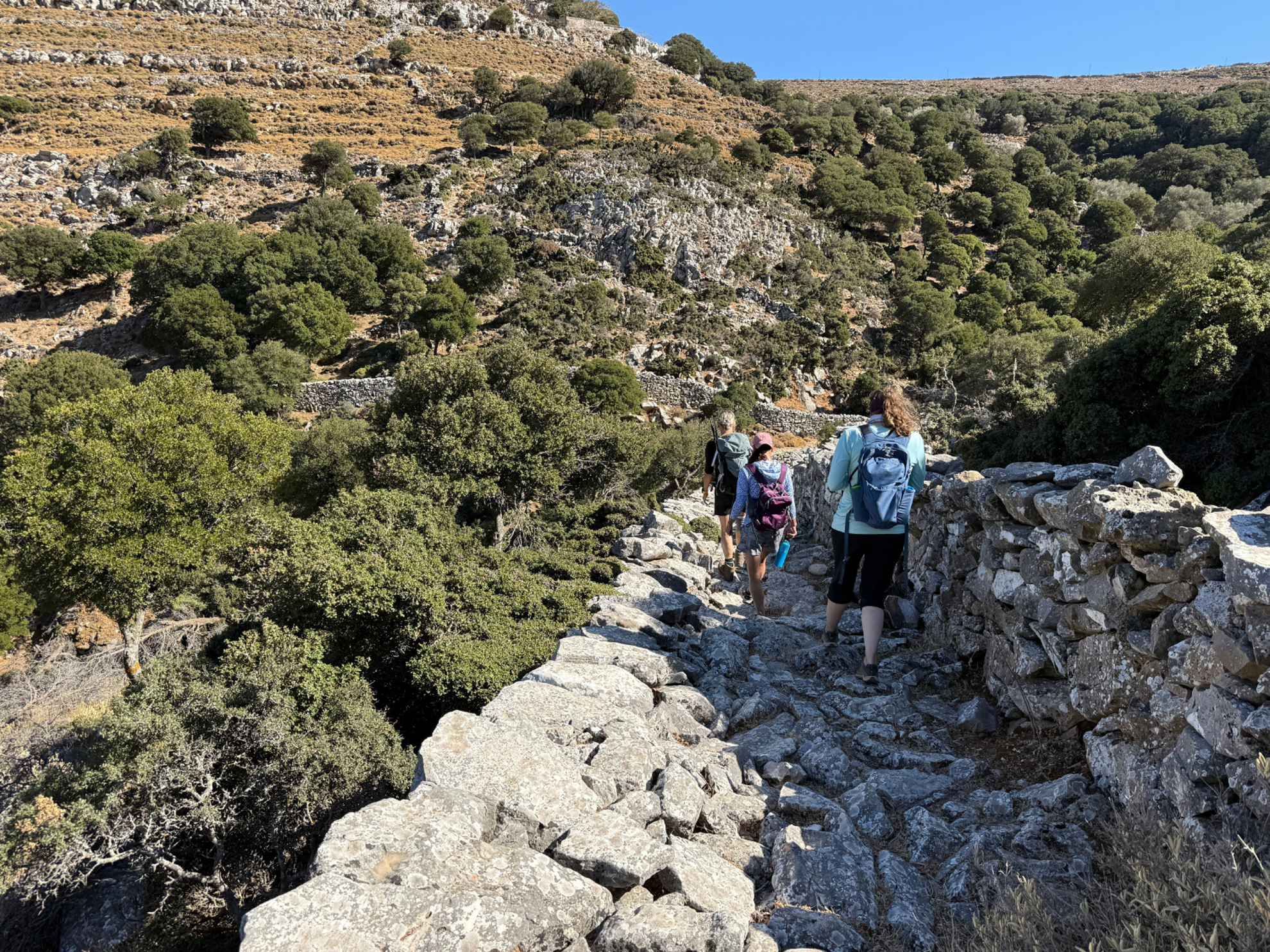 Picture of Island Hopping in the Greek Islands