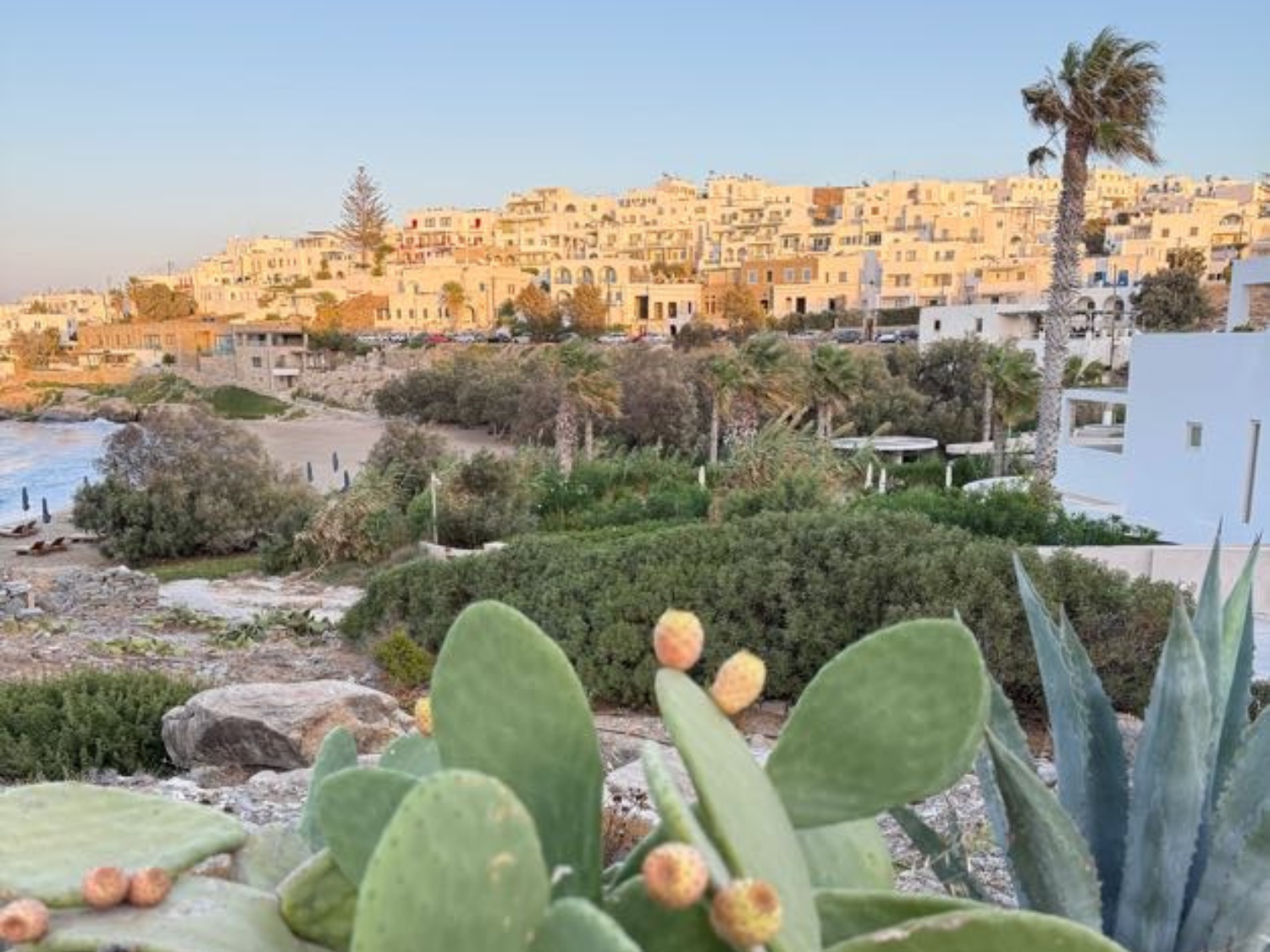 Picture of Island Hopping in the Greek Islands