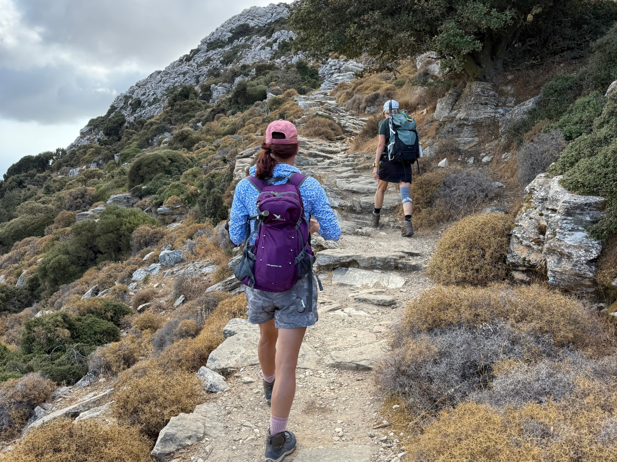 Picture of Island Hopping in the Greek Islands