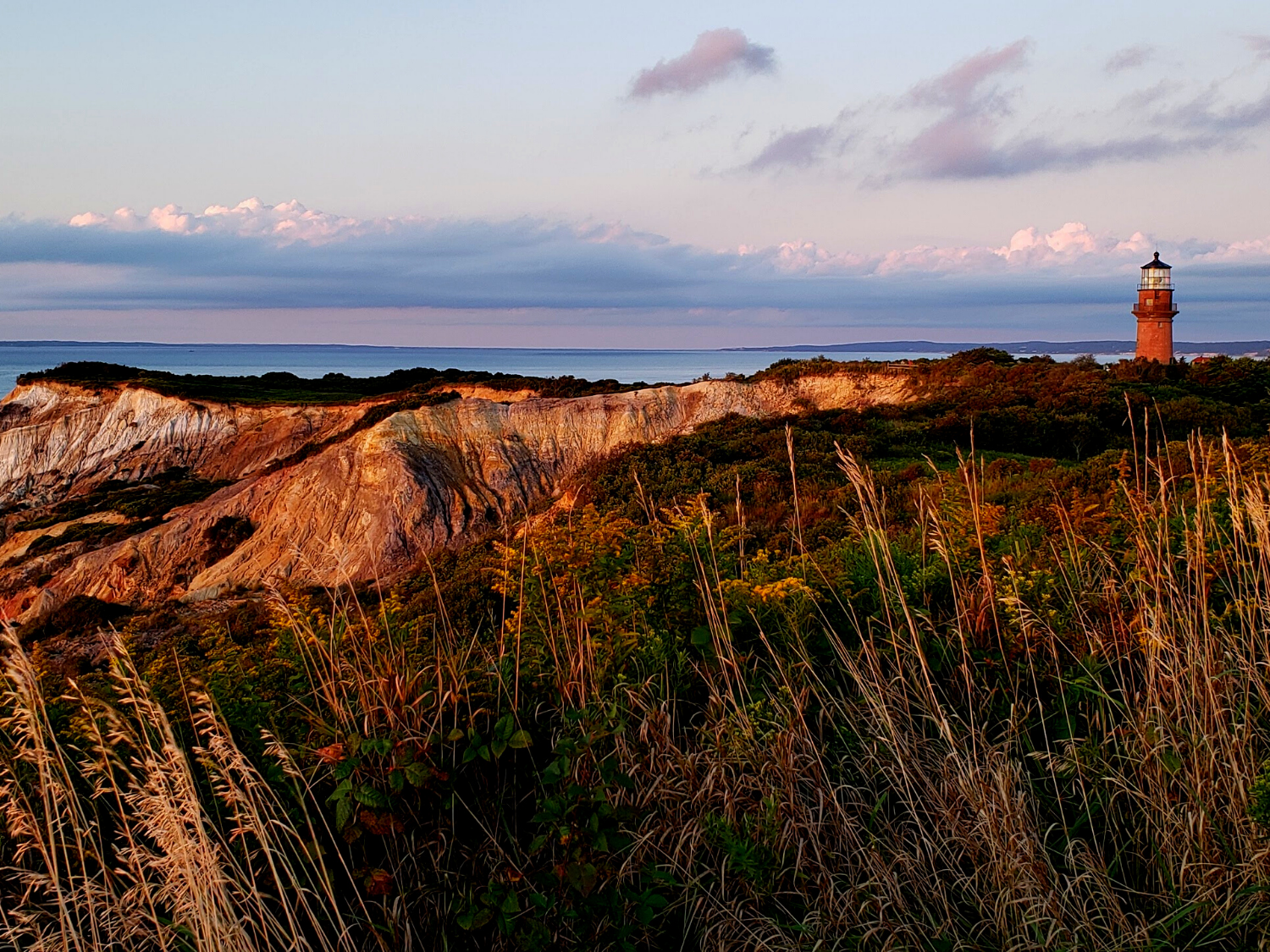 Picture of Naturally Newport