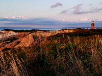 Picture of Naturally Newport