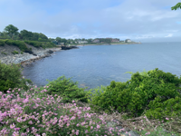 Picture of Naturally Newport