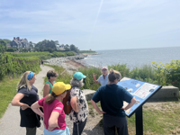 Picture of Naturally Newport