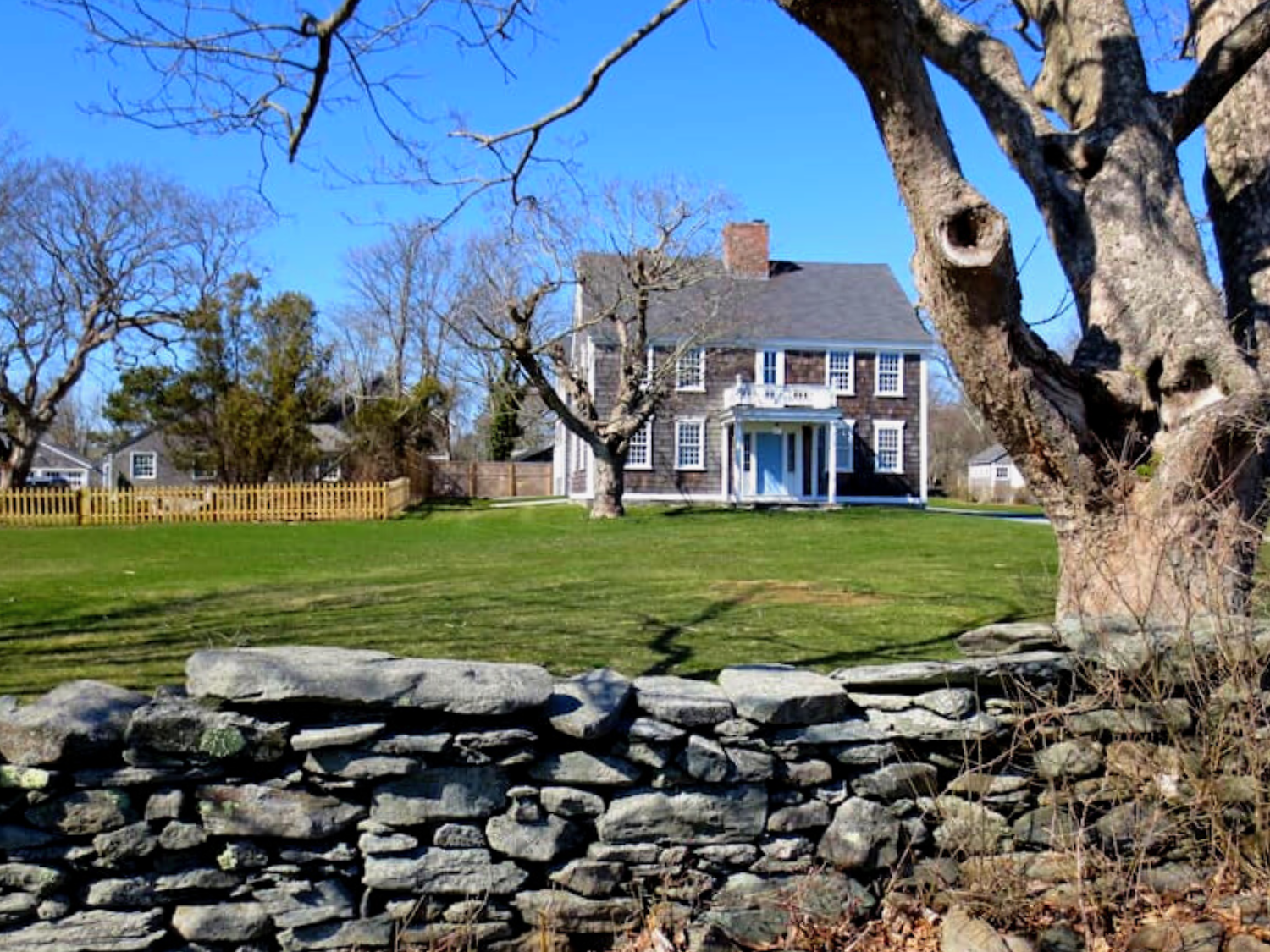 Picture of Naturally Newport