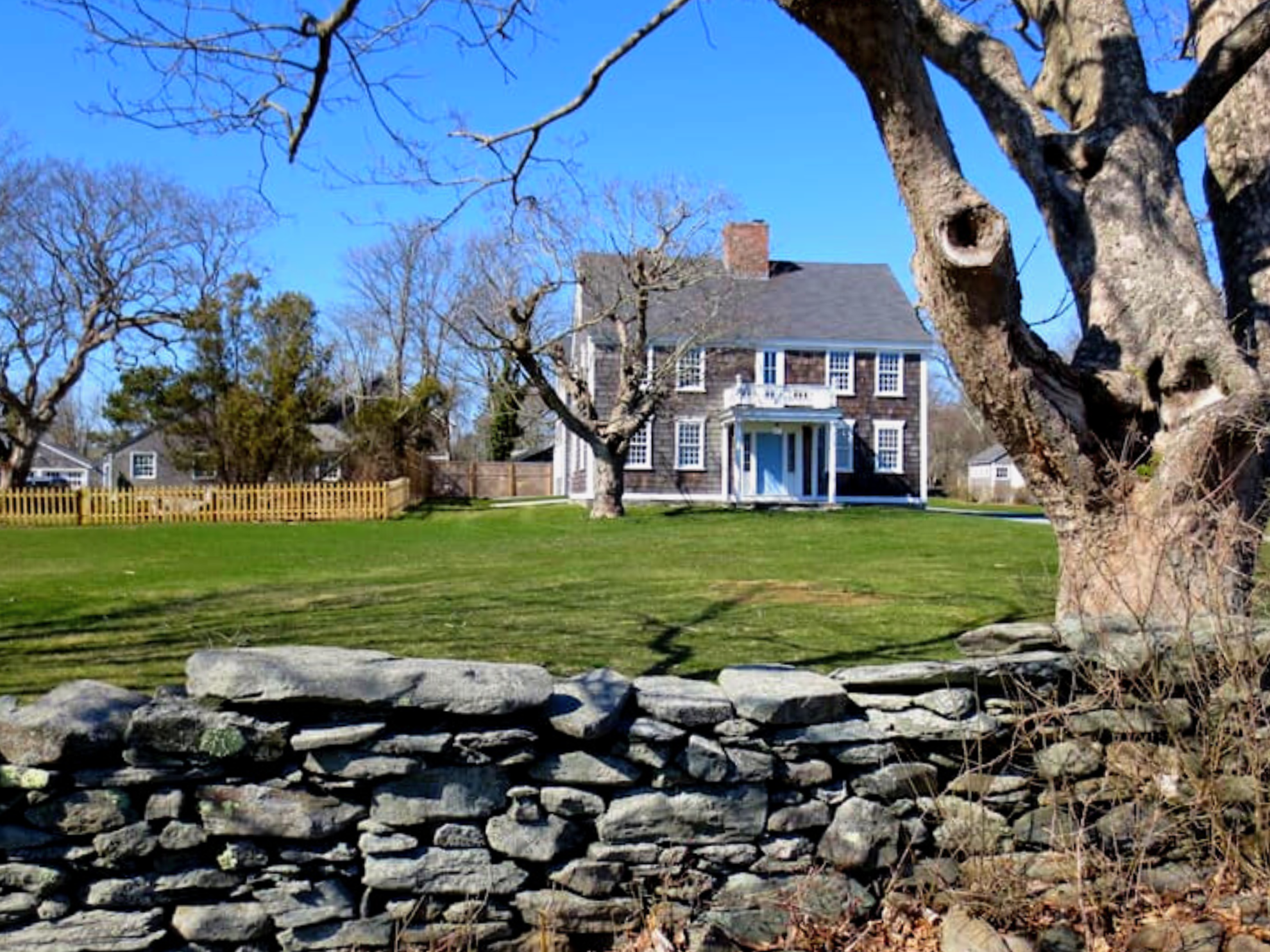 Picture of Naturally Newport