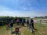 Picture of Naturally Newport