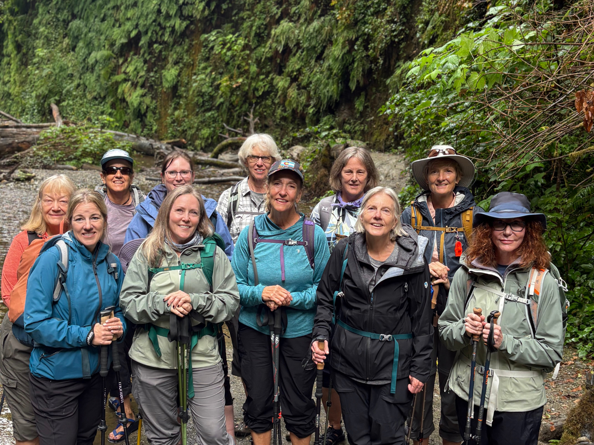 Picture of Wonder and Wellness in the Redwoods