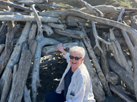 Picture of Wonder and Wellness in the Redwoods